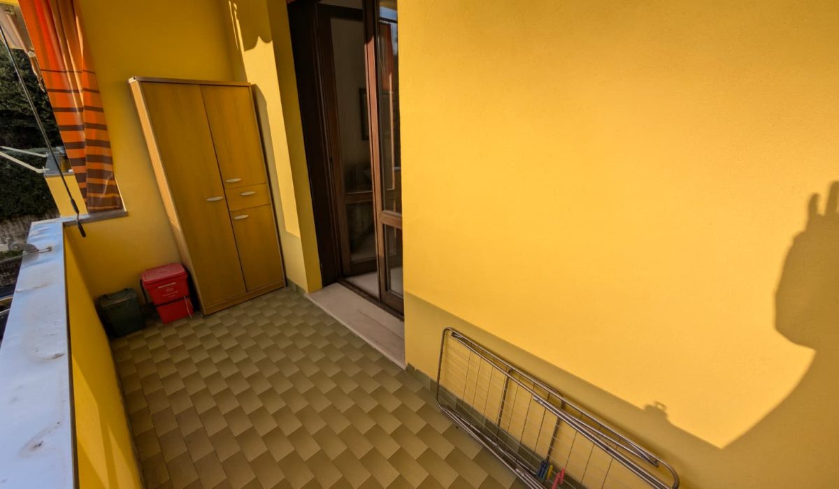 WhatsApp Image 2026-02-16 at 16.50.14