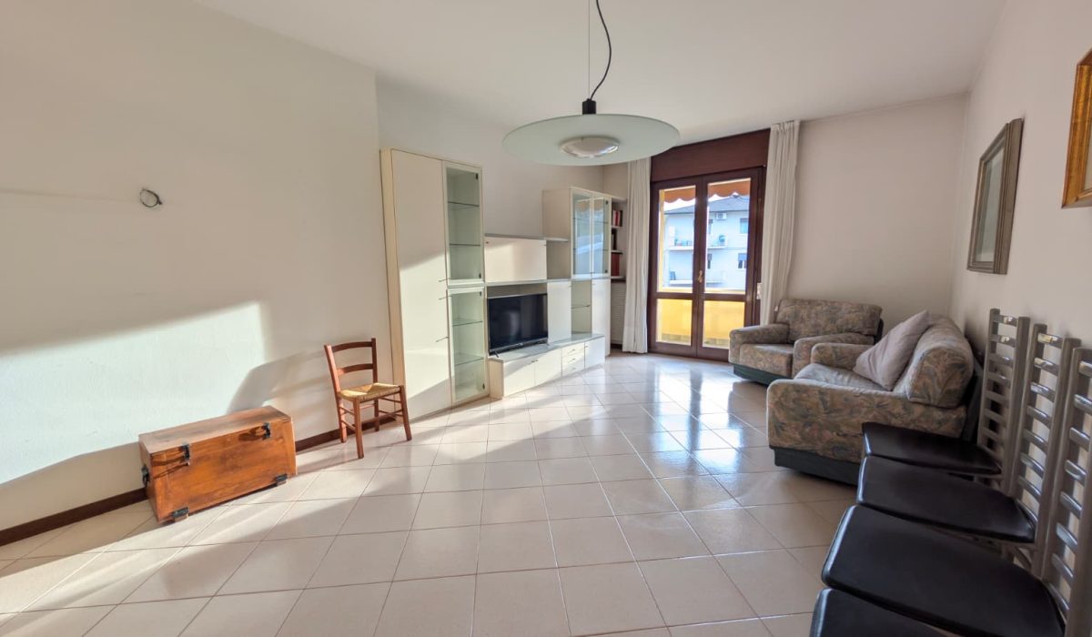 WhatsApp Image 2026-02-16 at 16.50.15