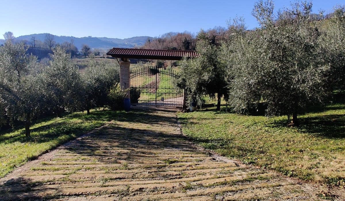 WhatsApp Image 2026-03-04 at 16.08.08