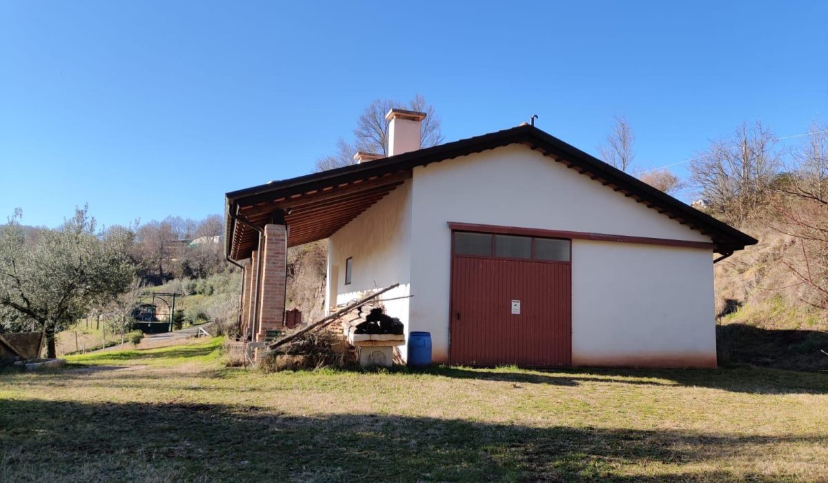 WhatsApp Image 2026-03-04 at 16.08.08(1)