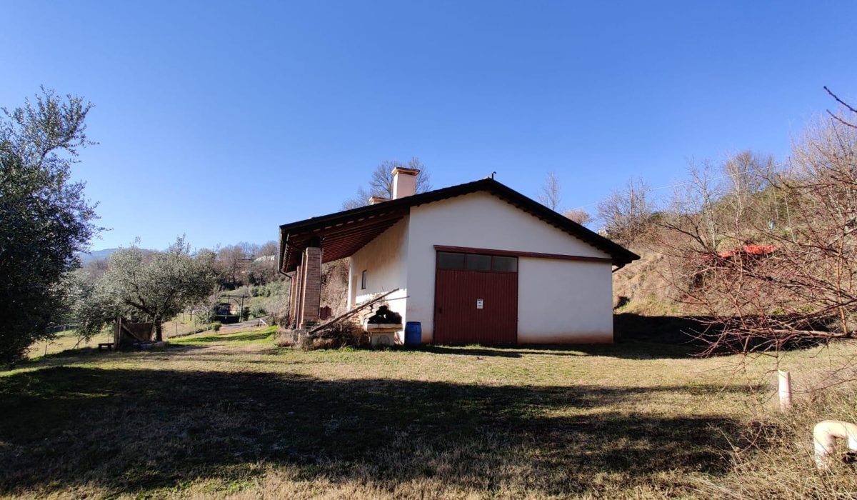 WhatsApp Image 2026-03-04 at 16.08.08(3)