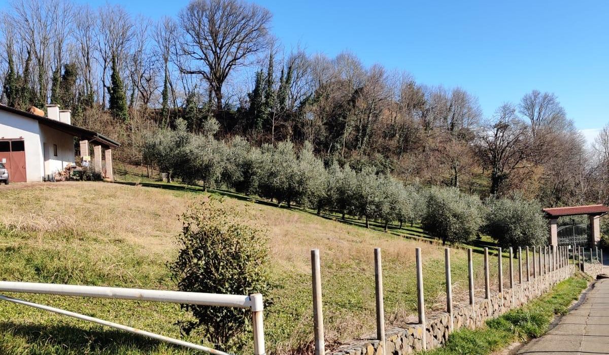 WhatsApp Image 2026-03-04 at 16.08.08(5)