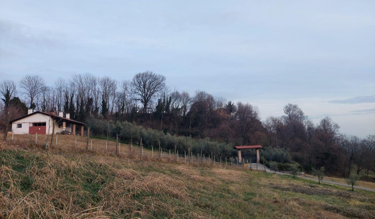 WhatsApp Image 2026-03-04 at 16.08.08(8)