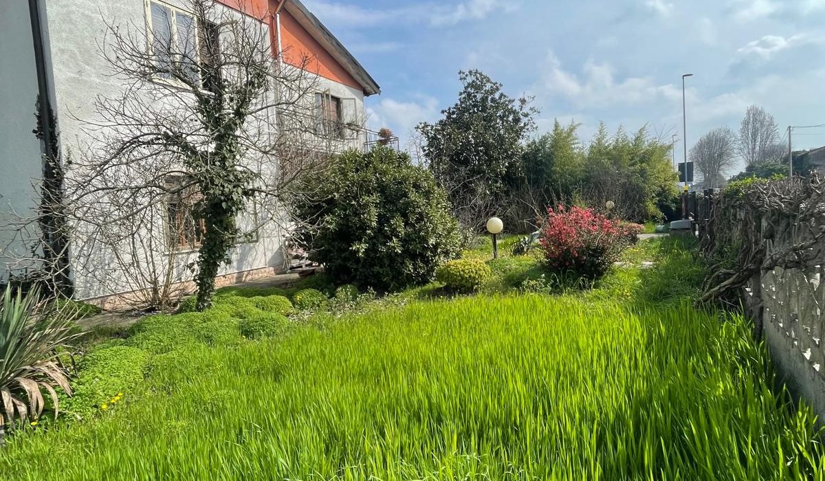 WhatsApp Image 2026-03-16 at 09.12.16 (1)