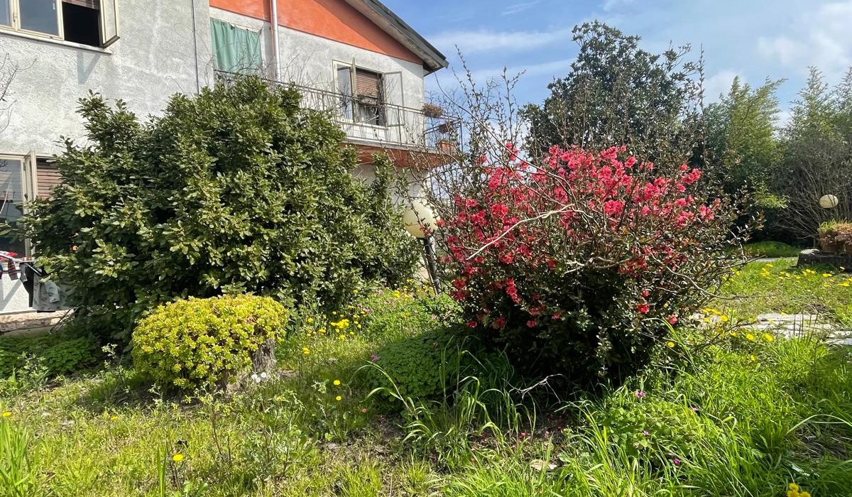 WhatsApp Image 2026-03-16 at 09.12.16 (3)