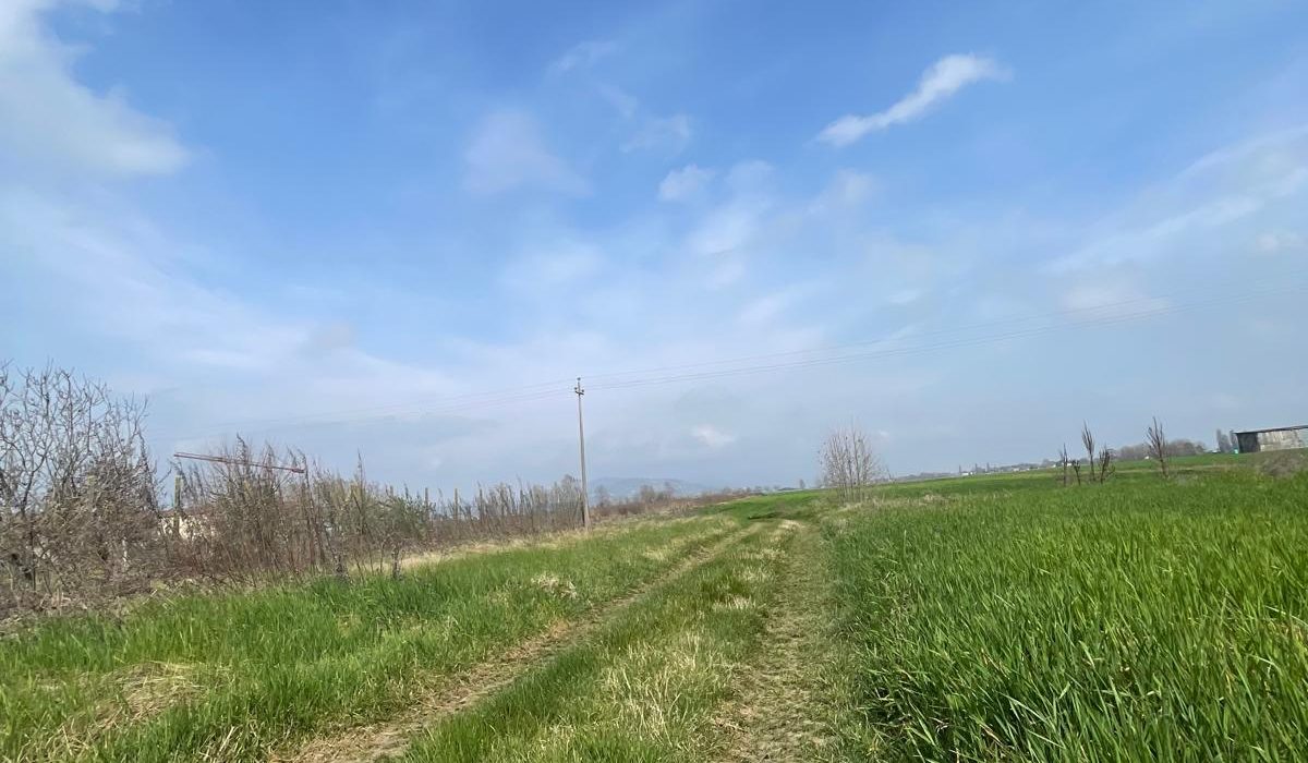 WhatsApp Image 2026-03-16 at 09.12.16 (9)