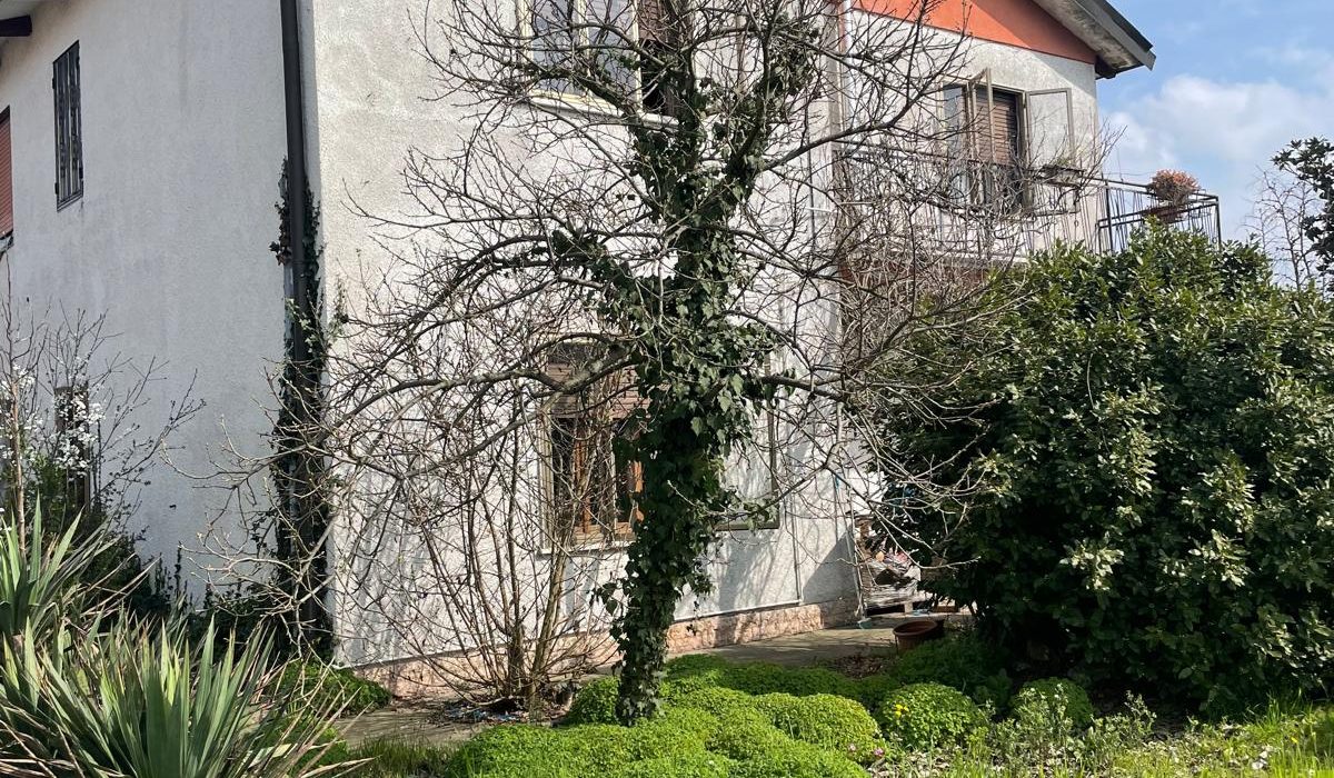 WhatsApp Image 2026-03-16 at 09.12.16