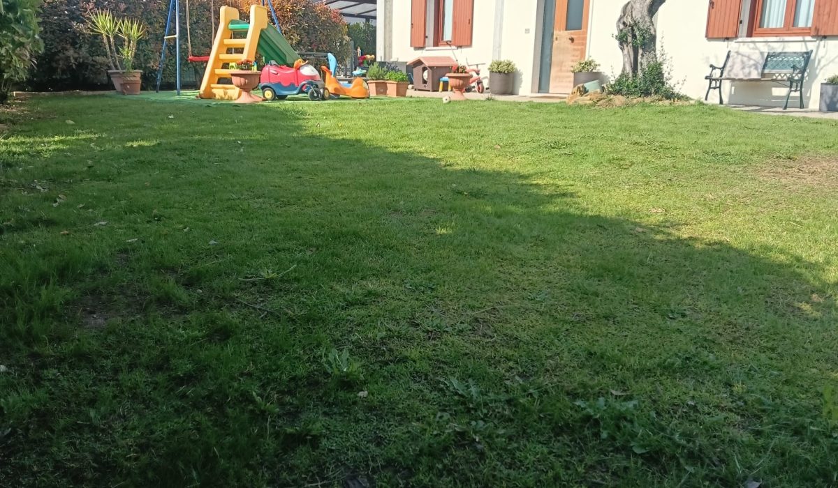 WhatsApp Image 2026-04-22 at 15.26.03(1)