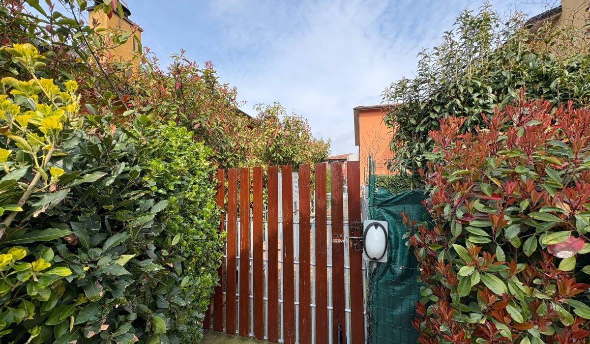 a2a4a7c0-4f04-4982-b481-d8d11232aa21