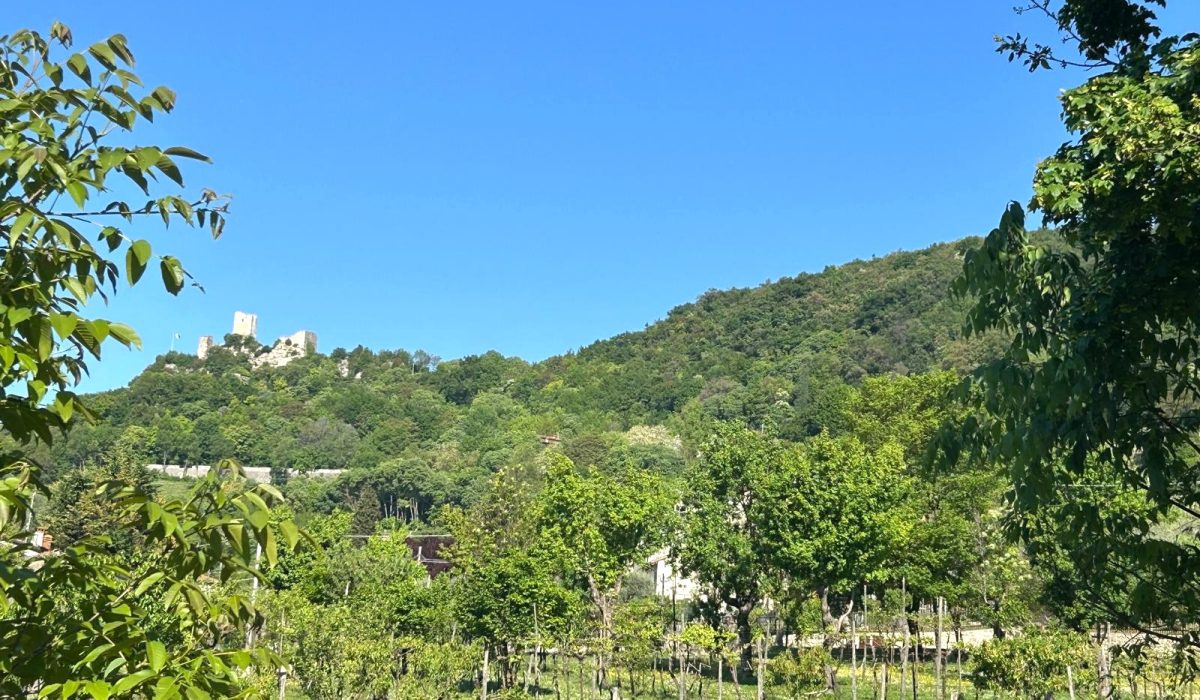 ab31f919-a061-44dc-a098-7ea0933f0d9f