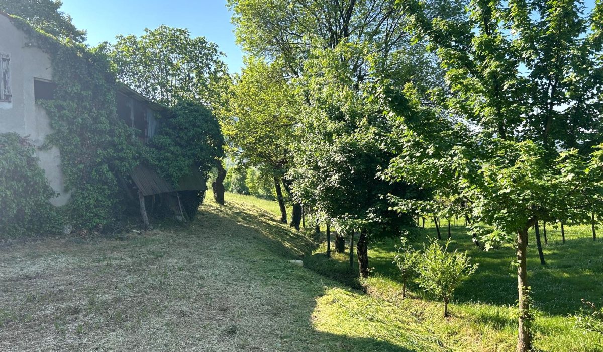 affd210d-5c5b-4fe3-941e-8268cbdc7743