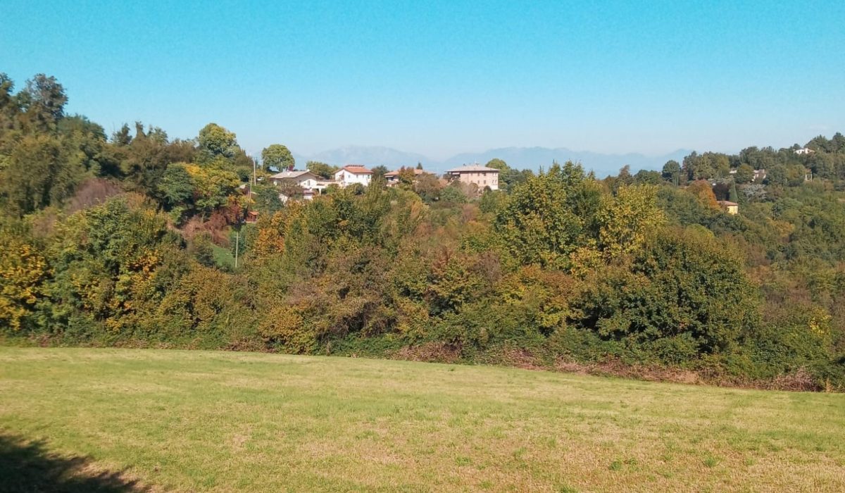 c8c942e2-151d-4178-890f-a847d340a4ca