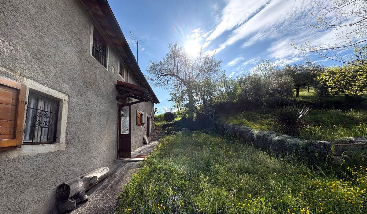 c96dd81a-89f4-42b1-8bac-215b642f5bab