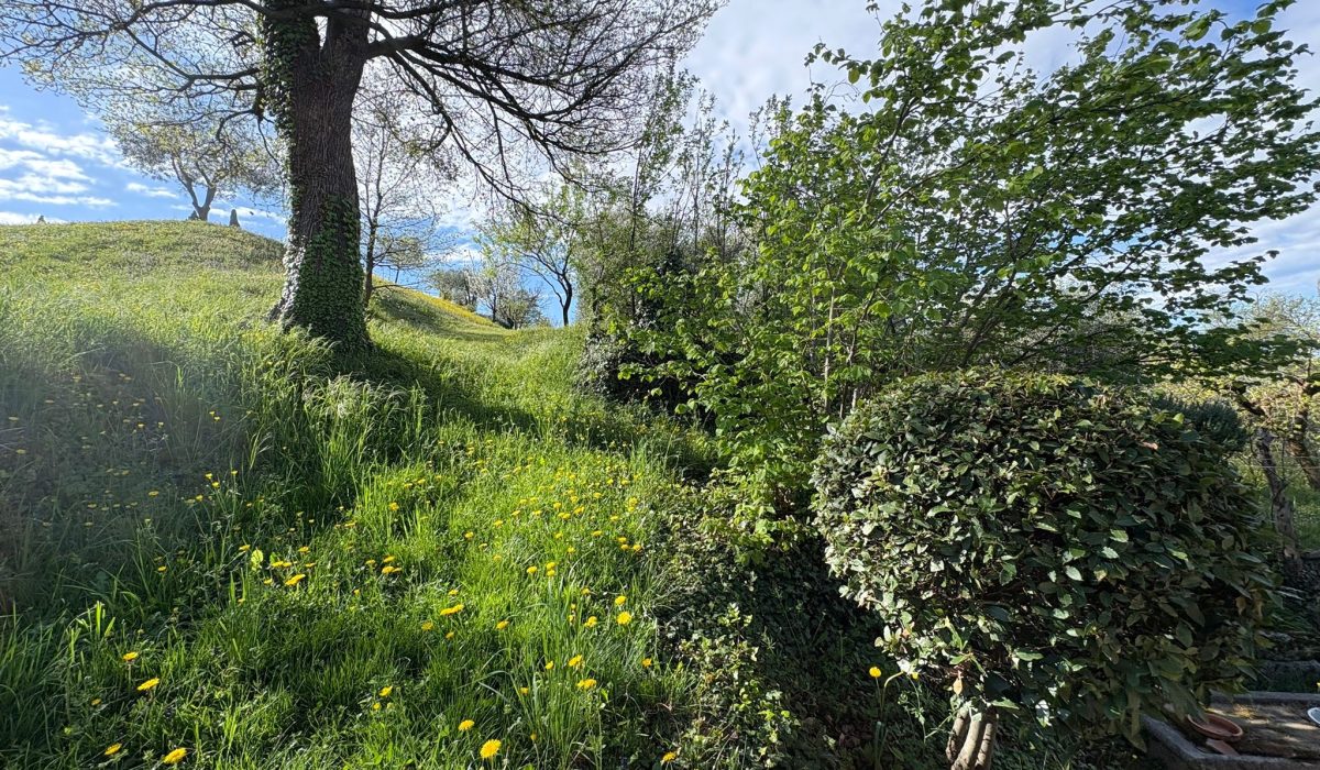 d21123d5-ddd8-49c4-a2b7-1fdad5a5396f