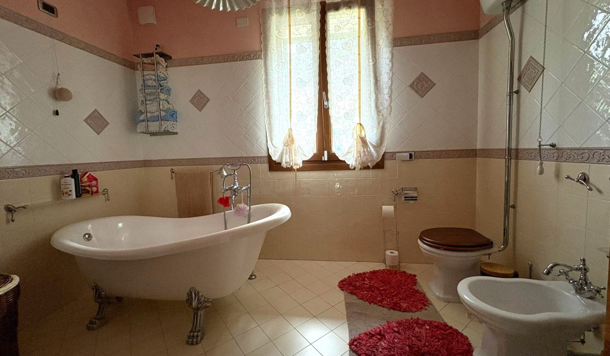 d7755797-36cb-4a4f-8c04-857308391624