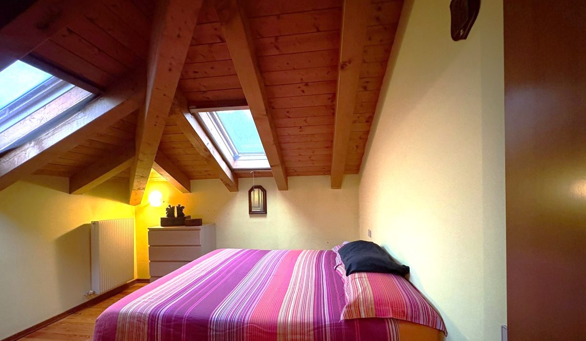 f38e2b13-4cf2-45bf-bf38-2ee10adffab5