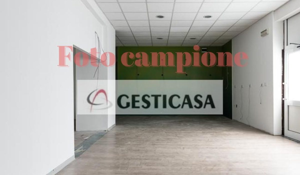 foto1