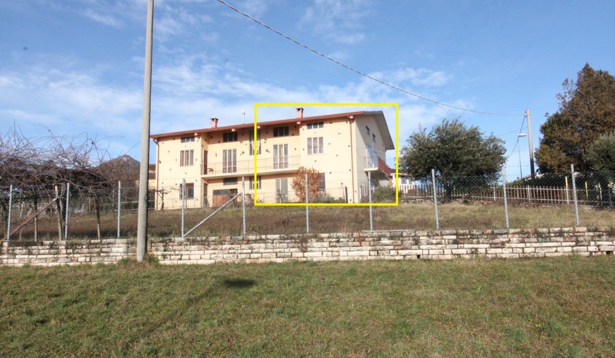 giallo abi1 F1