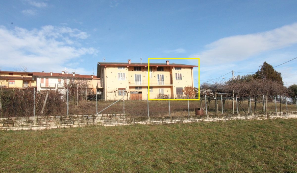 giallo abi1 F2
