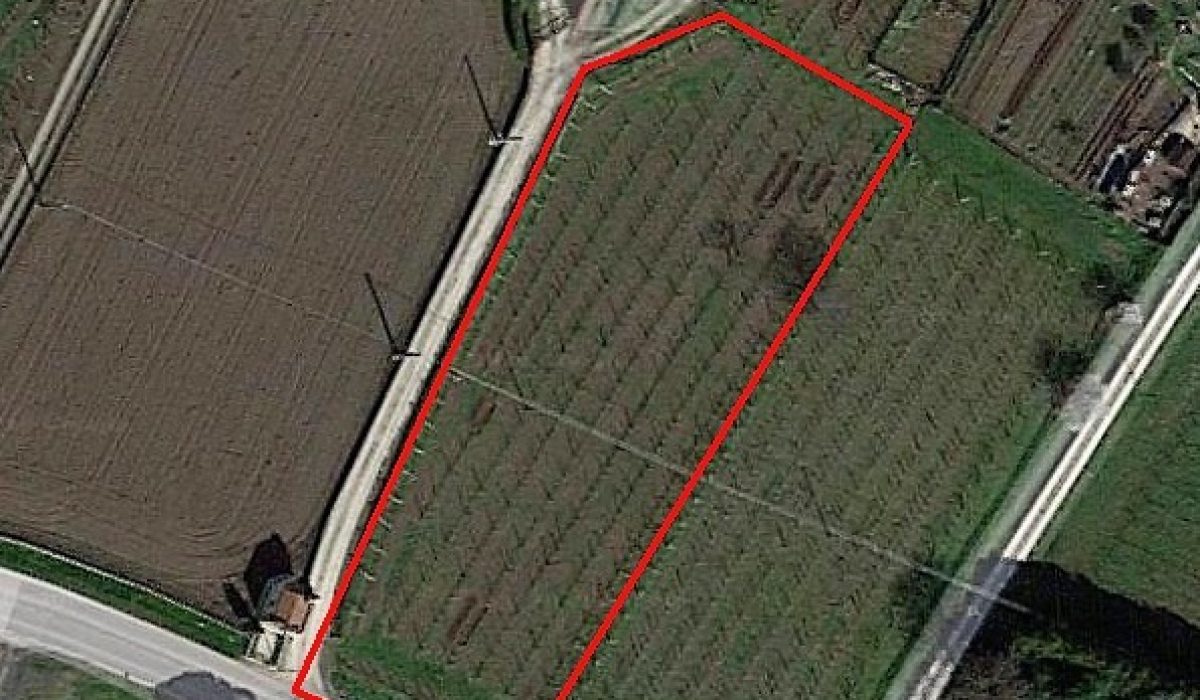 terreno agricolo