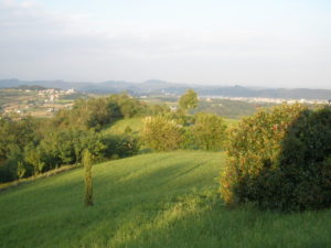 6 vista