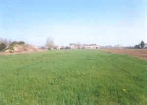 295 Terreno di proprietà