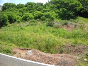 810 Terreno